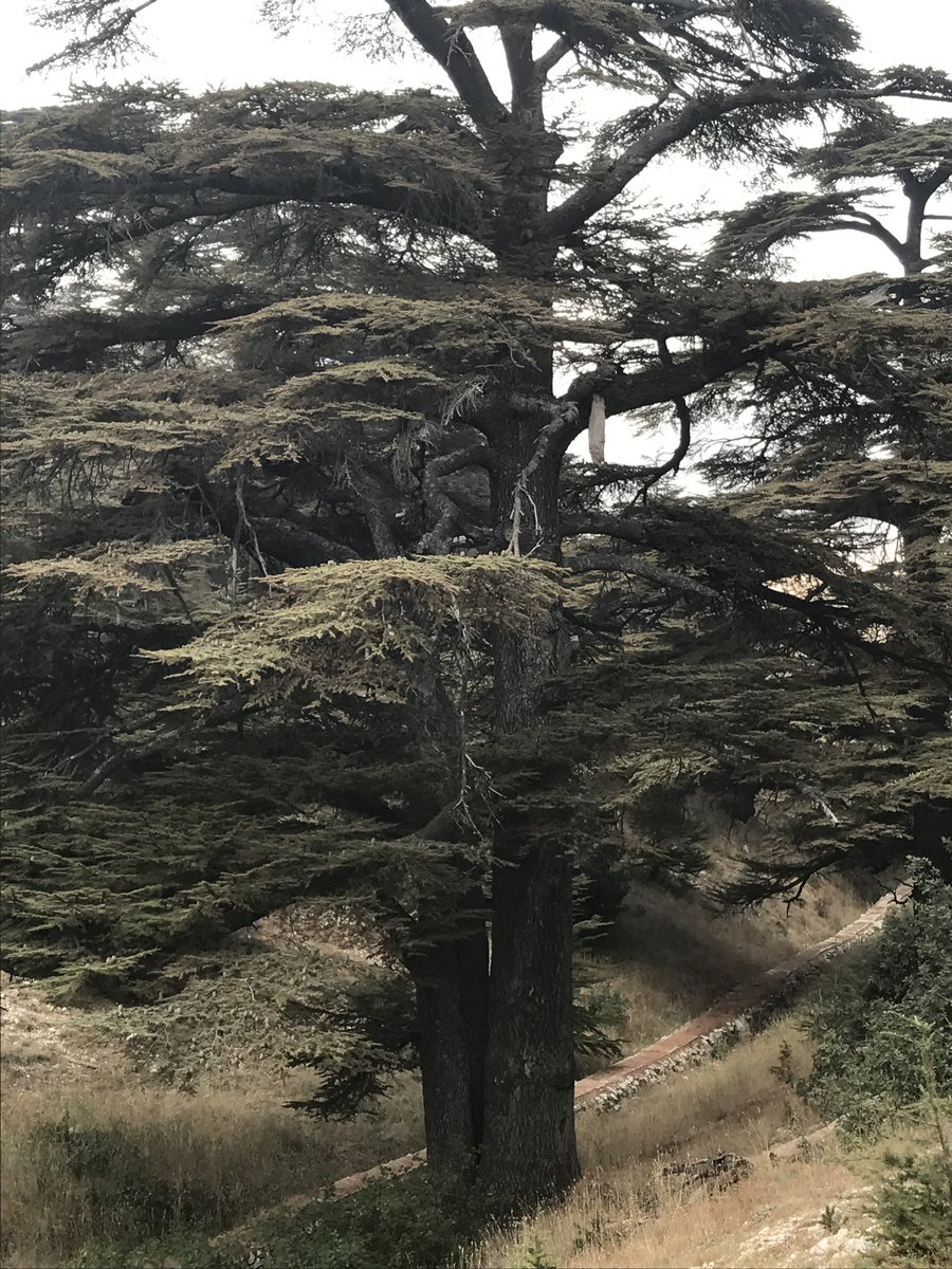 the Sain🗡️ tweet media