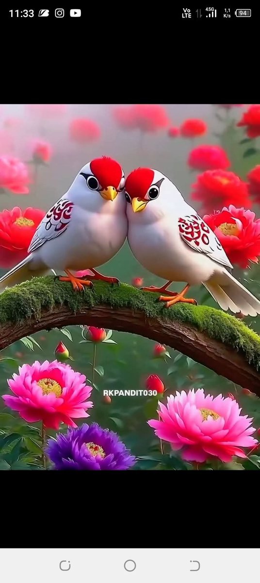 Fuat Kabak tweet media