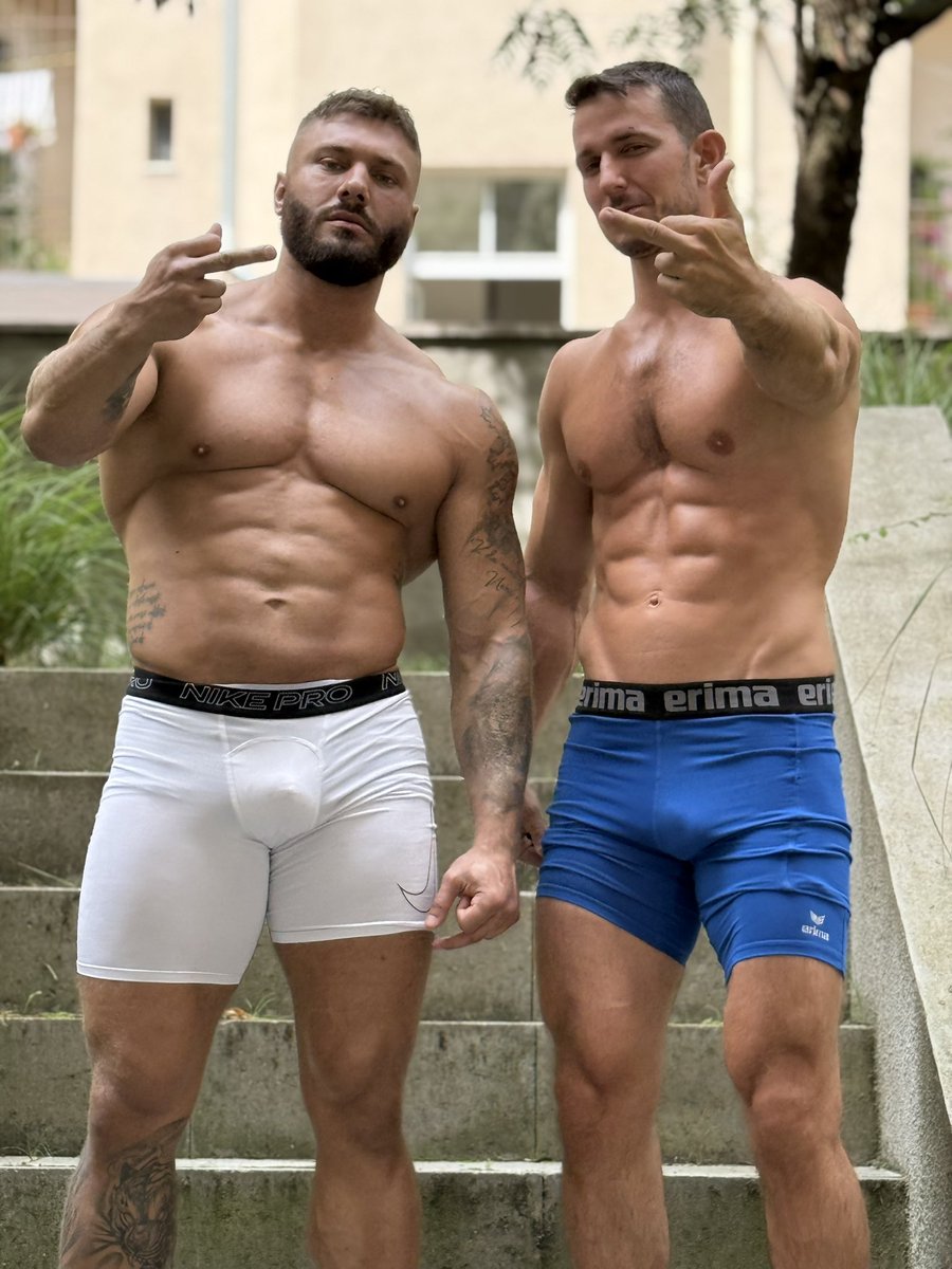 GodlyStefano tweet media