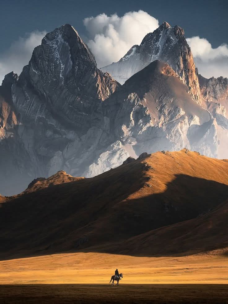 N A T U R E tweet media