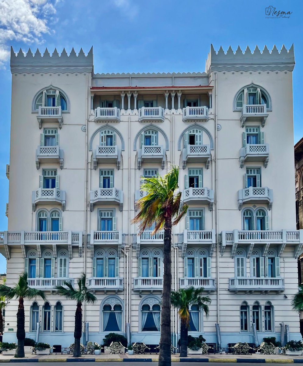 𓂀 Nefertiti : Nile Tales 𓅓 tweet media