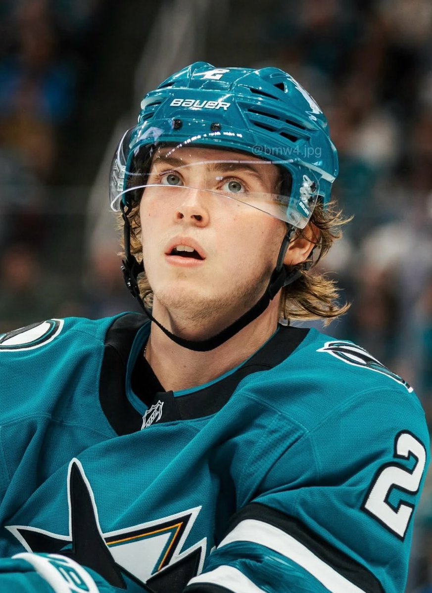 Cody🐾🦈 tweet media