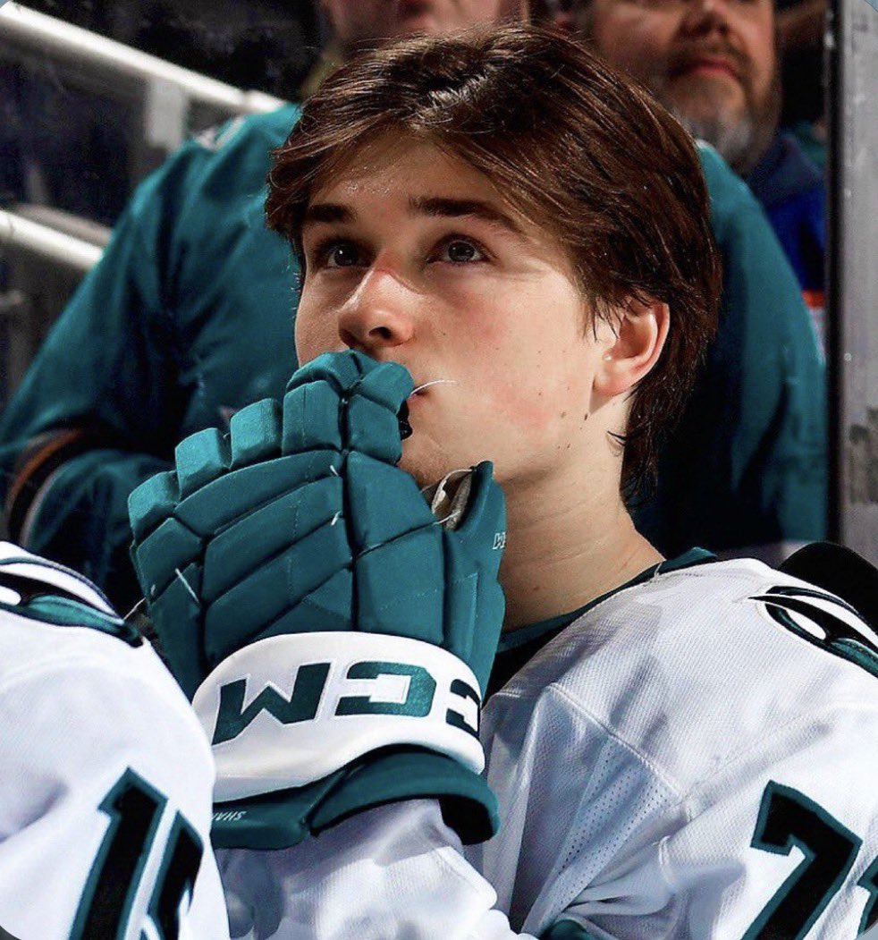 Cody🐾🦈 tweet media