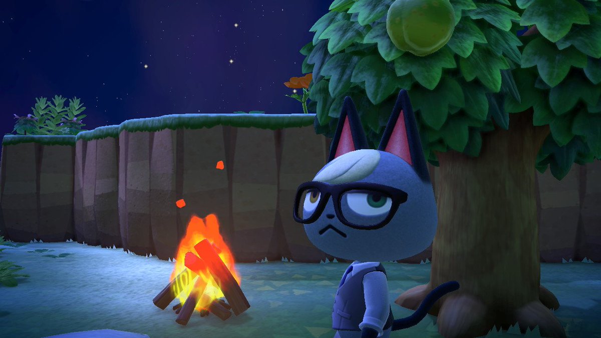 鯨ぴょんか🐳🅿️ tweet media