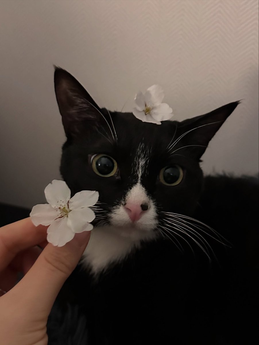 World Click (@worldclick56) on Twitter photo 