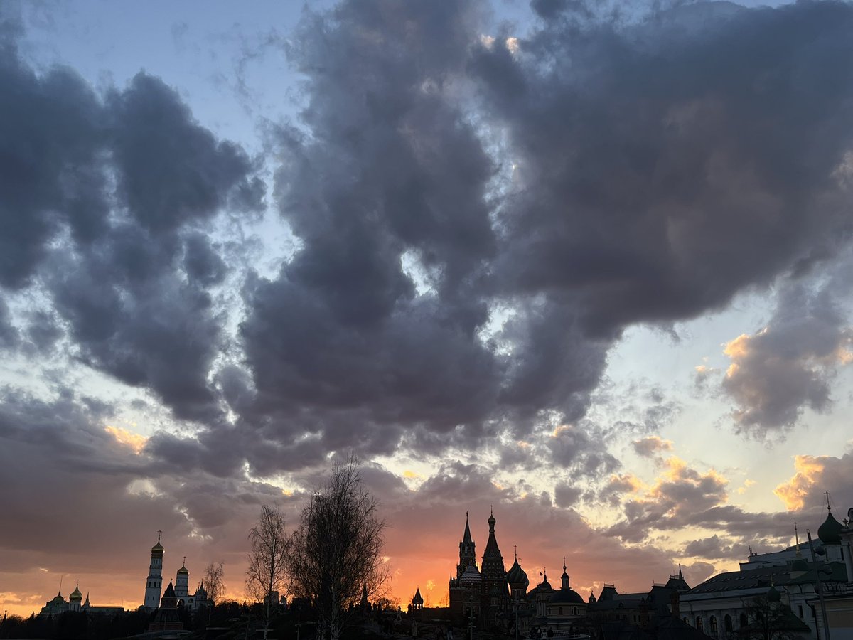 ᴄʀɪᴄᴛᴏꜰᴏʀᴏ. tweet media