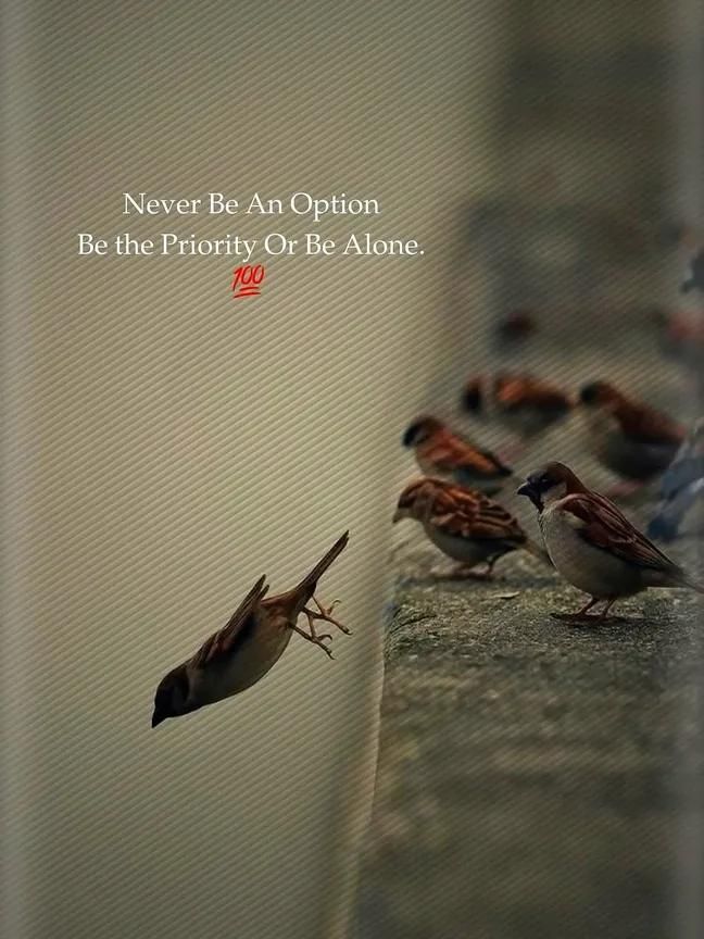 Life_amazing_S's tweet photo. https://t.co/vcsFM8jfid