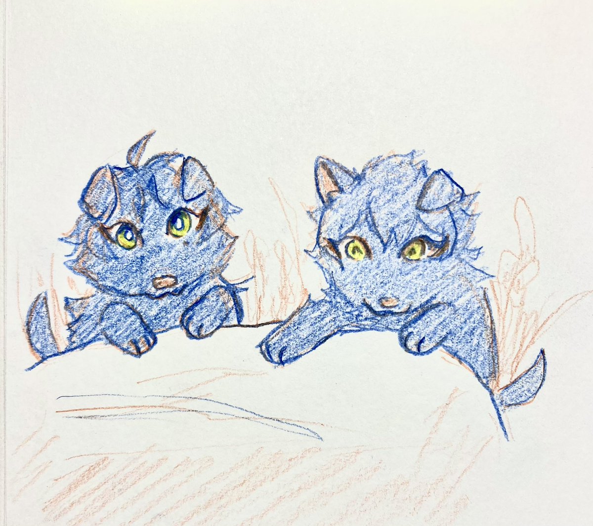 ᴢᴇᴘᴘ🔕DGM Month!! tweet media