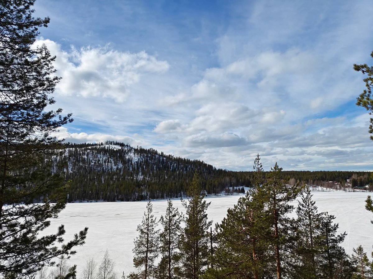 Merja Niemelä tweet media