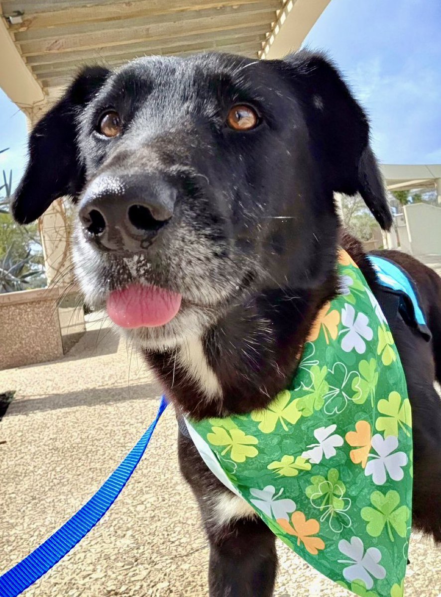 Cheryl Ramirez tweet media