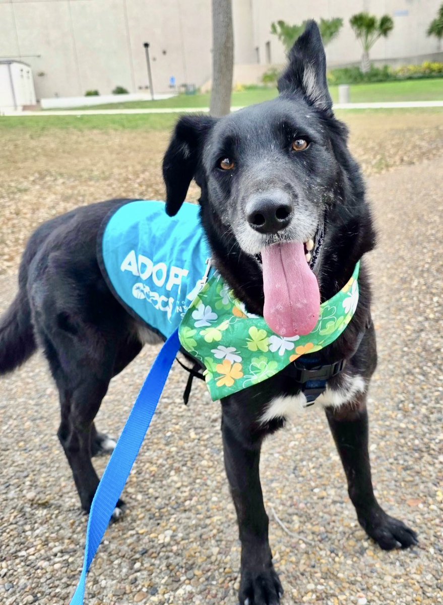 Cheryl Ramirez tweet media