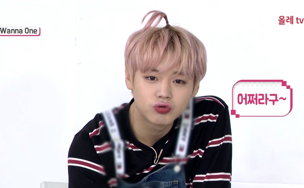 동그리구리람이 tweet media