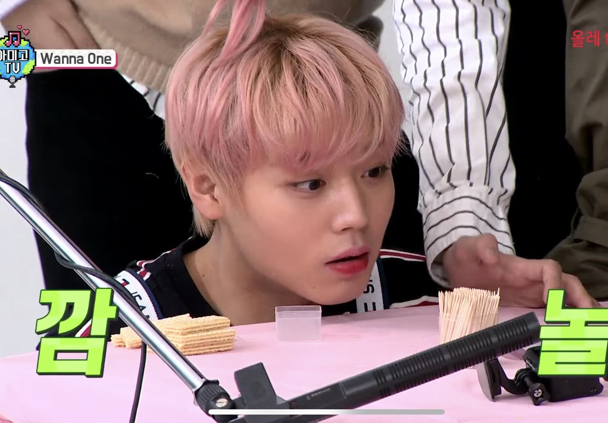 동그리구리람이 tweet media