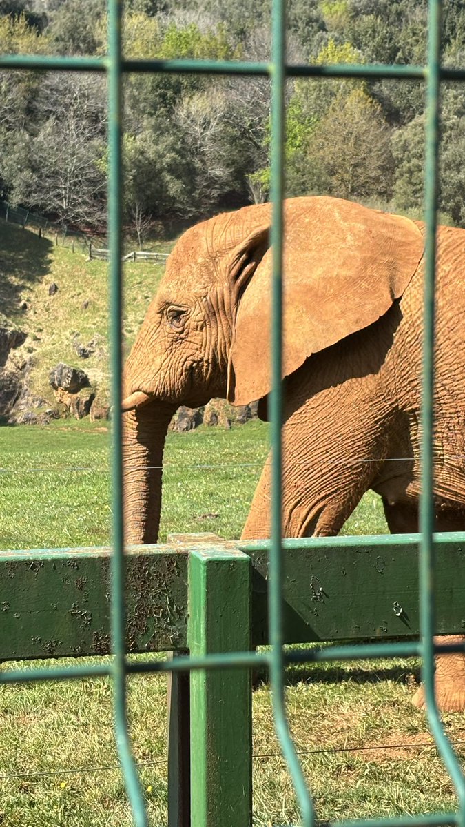 𝗚𝗶𝗼𝘃𝗮𝗻𝗻𝗮 ✰ tweet media