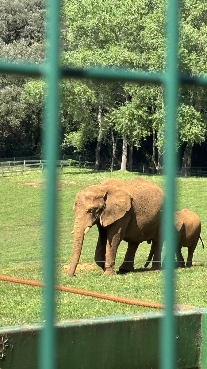 𝗚𝗶𝗼𝘃𝗮𝗻𝗻𝗮 ✰ tweet media