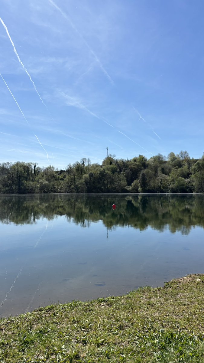 𝗚𝗶𝗼𝘃𝗮𝗻𝗻𝗮 ✰ tweet media