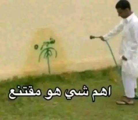 ℳⅅՏO Ꮙᗅ tweet media