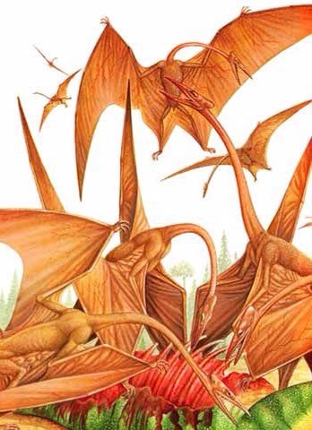 TEEP_Wired_Policy tweet media