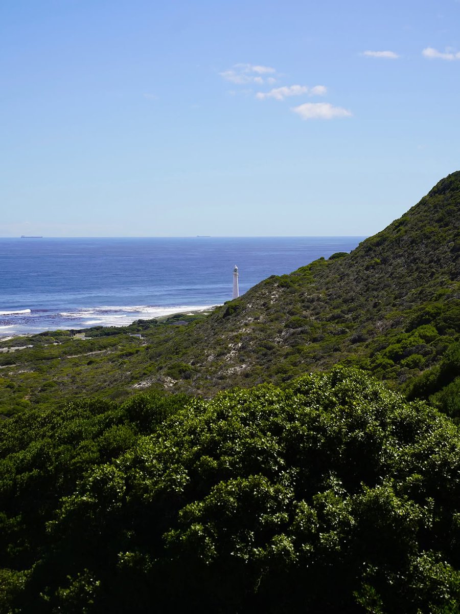 CaseWBase tweet media