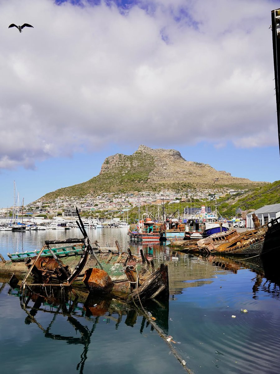 CaseWBase tweet media