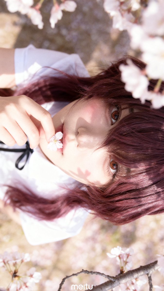 케ㅌㅊㅅ tweet media