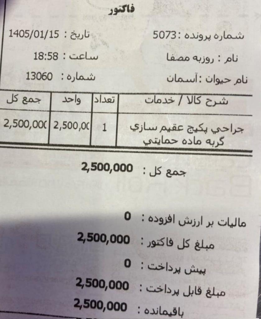 ژن پوک tweet media