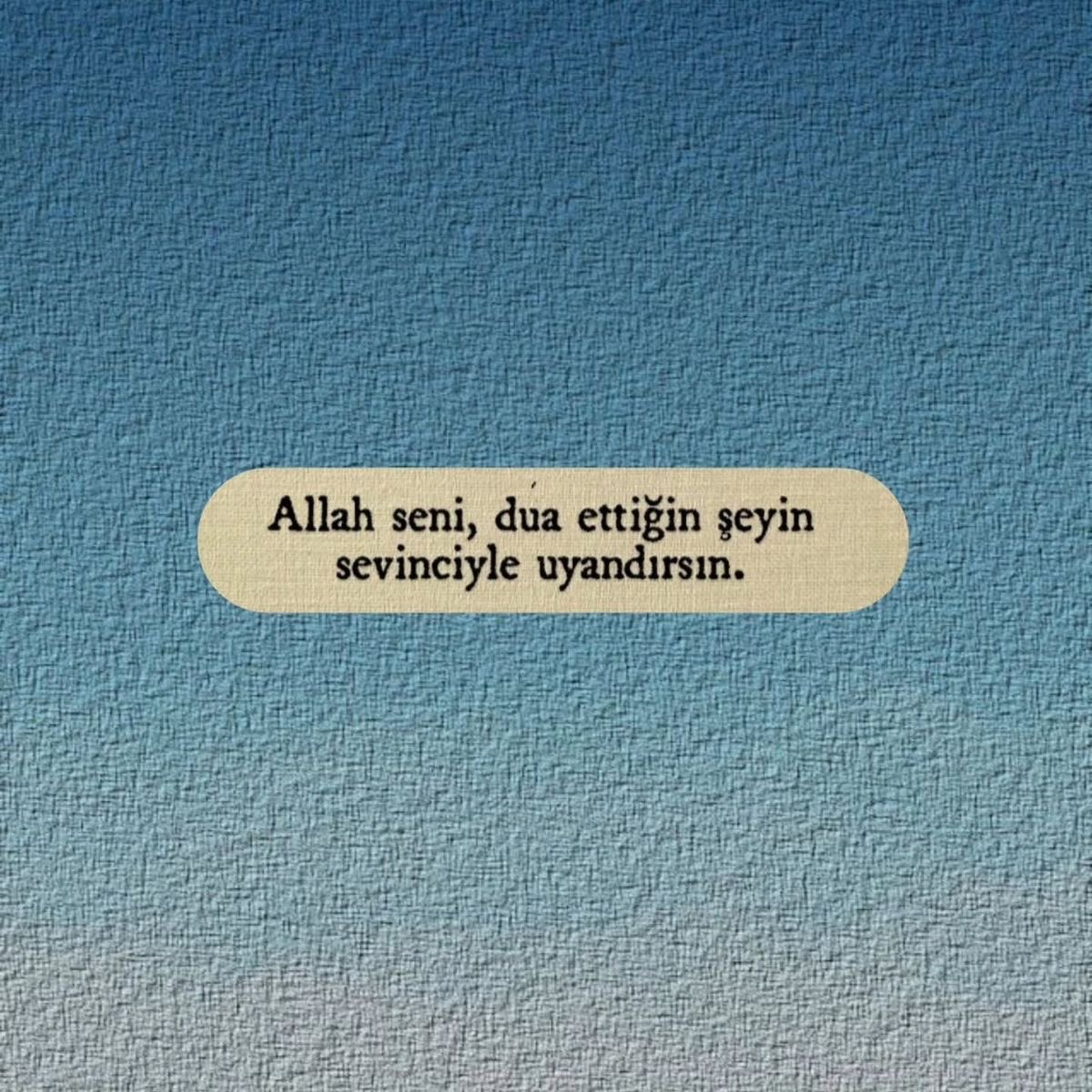 kitab-ül Sevda tweet media