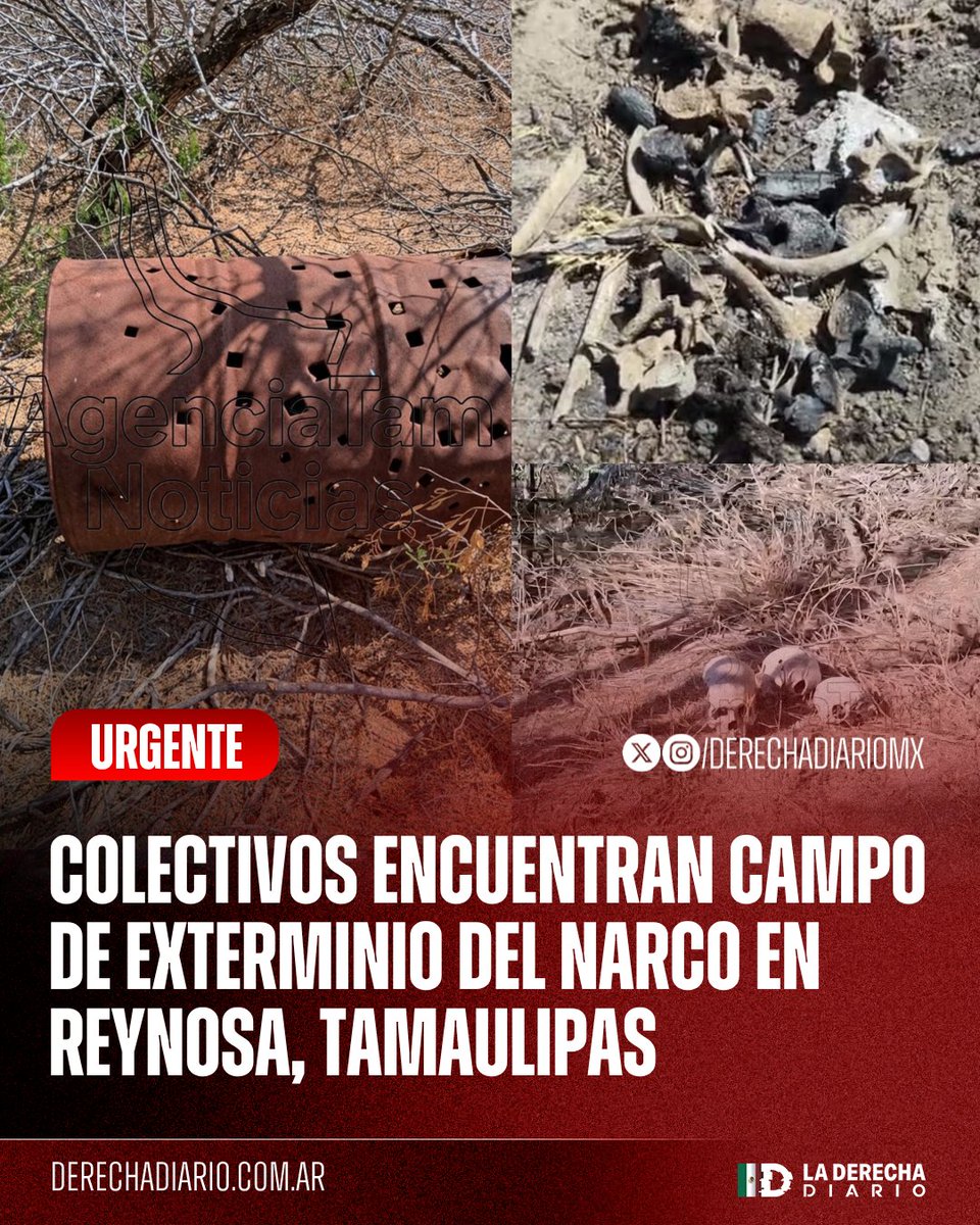 La Derecha Diario México tweet media