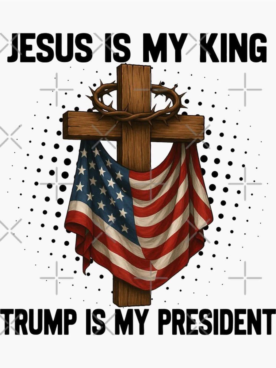 Blondelady2024 tweet media