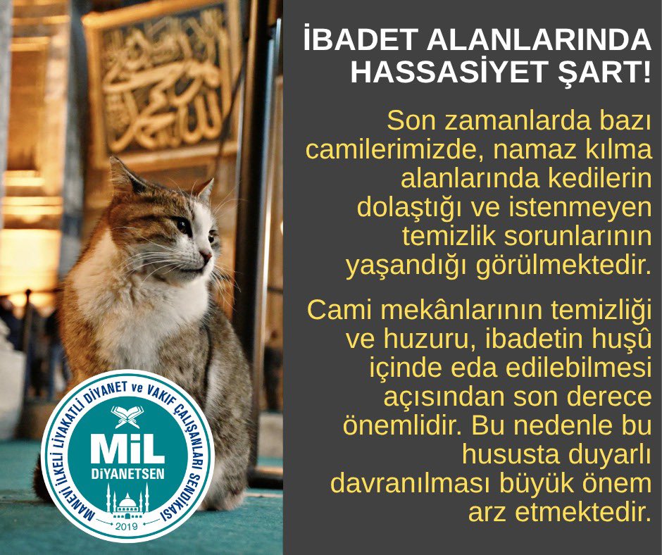 Celaleddin Gül tweet media