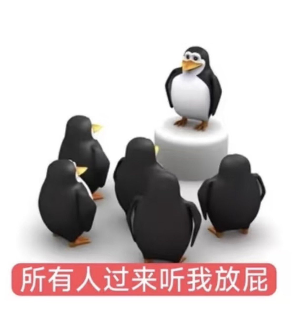 吧啦啦小腾 tweet media