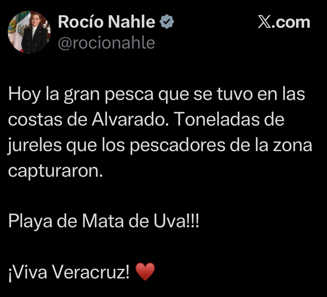 Manuel Lopez San Martin tweet media