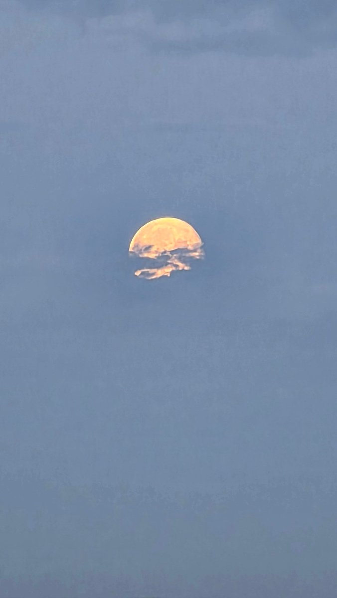 This is why I love my Samsung phone 🤭
#Samsung #samsungS26ultra