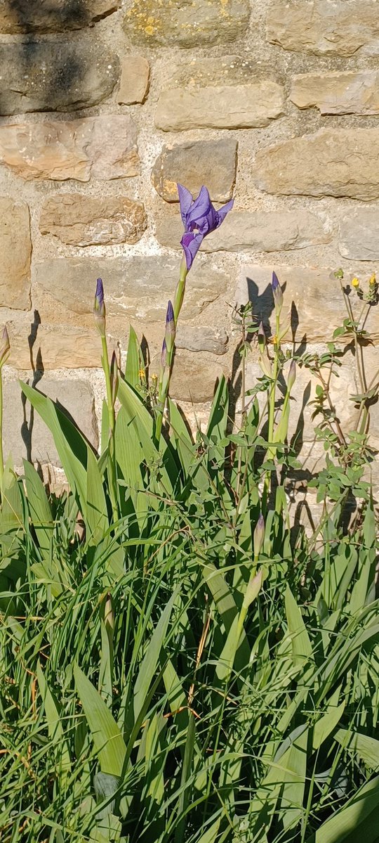 Josep Huguet🌊 tweet media