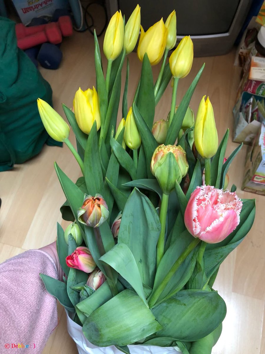 DebbieSchigt's tweet image. Eerste keer 
Bloemen Tulp 💐 🌷 Plukdag : ) 

~ Bij Winterswijk-Corle 

Zoooo leuk 
Echt een aanrader ! ! 

Leuk paaseitjes 
Of op een andere plukdag ! : ) 

~ Zaterdag 4 April 2026 ~ 

#BloemenUitCorle🌷
#En #Jumbo #TulpLove
#HippieHappyAlmostEaster #Pasen 
#GezelligeDag #Uitje