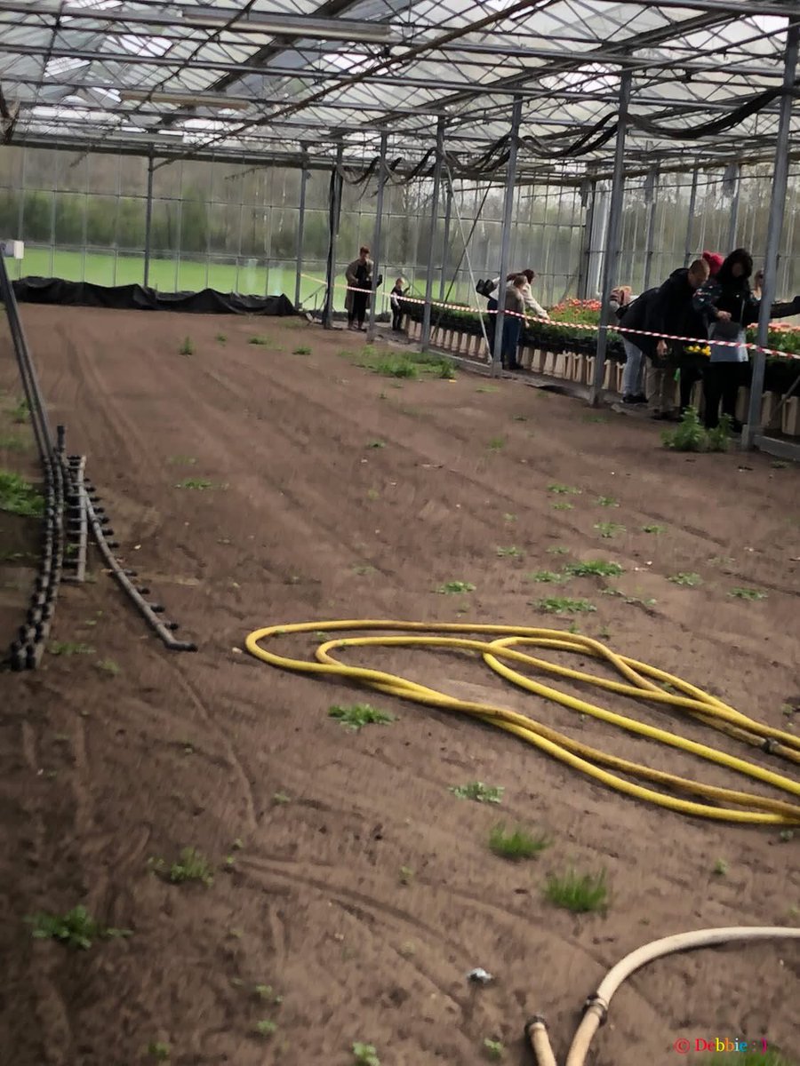 DebbieSchigt's tweet image. Eerste keer 
Bloemen Tulp 💐 🌷 Plukdag : ) 

~ Bij Winterswijk-Corle 

Zoooo leuk 
Echt een aanrader ! ! 

Leuk paaseitjes 
Of op een andere plukdag ! : ) 

~ Zaterdag 4 April 2026 ~ 

#BloemenUitCorle🌷
#En #Jumbo #TulpLove
#HippieHappyAlmostEaster #Pasen 
#GezelligeDag #Uitje