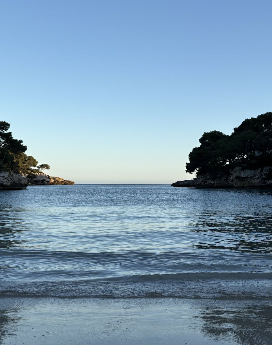 Himbeere tweet media