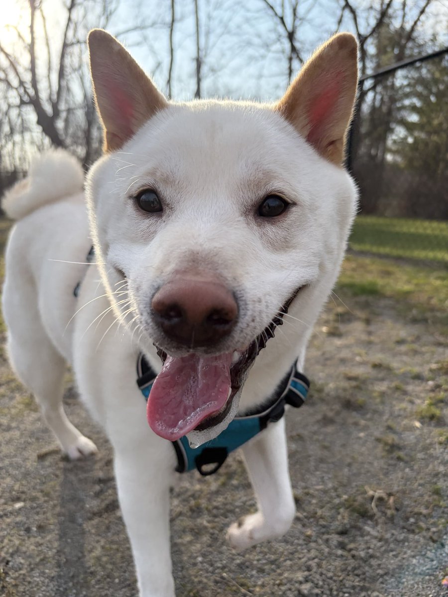 Big Nasty tweet media