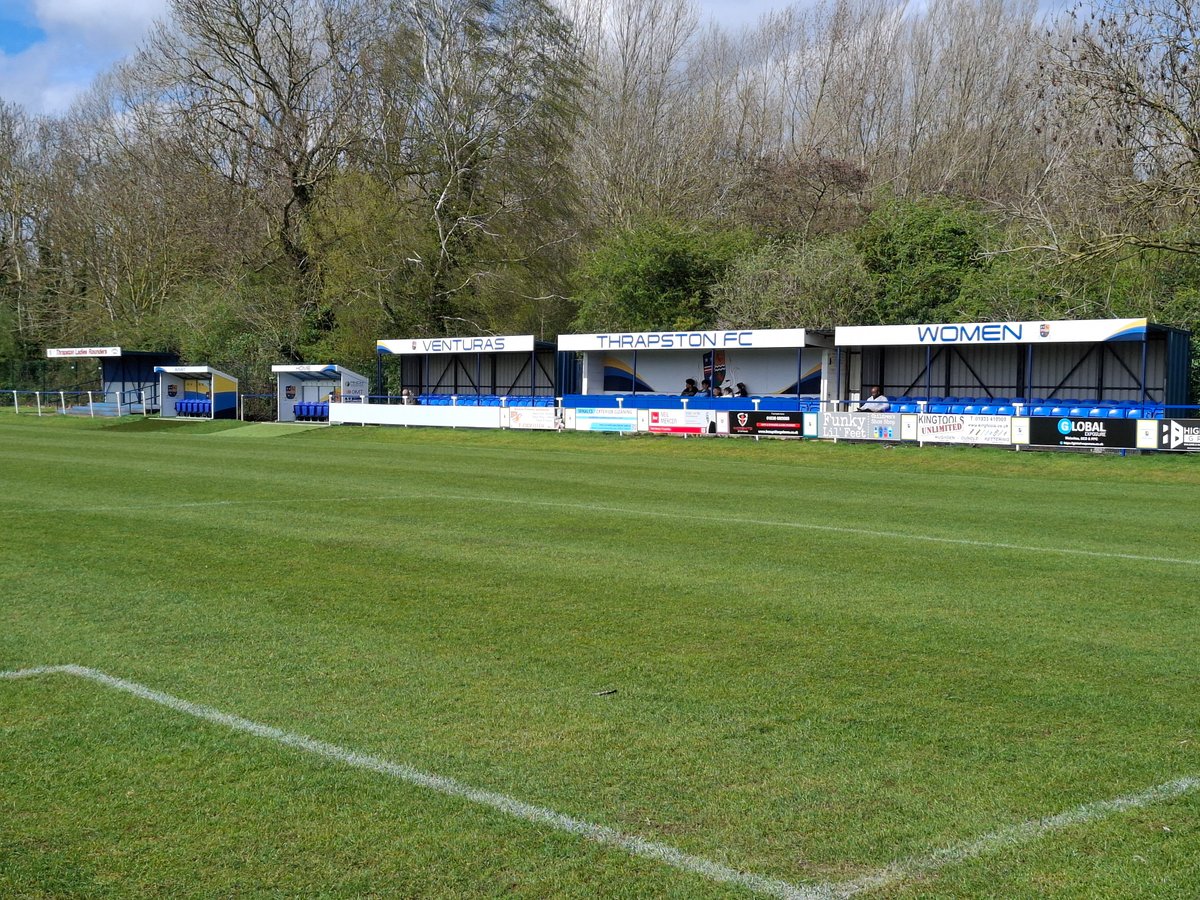 Daniel Tortoise tweet media