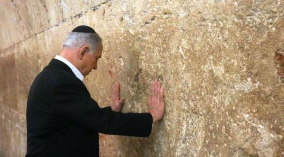 Prof. Chise tweet media