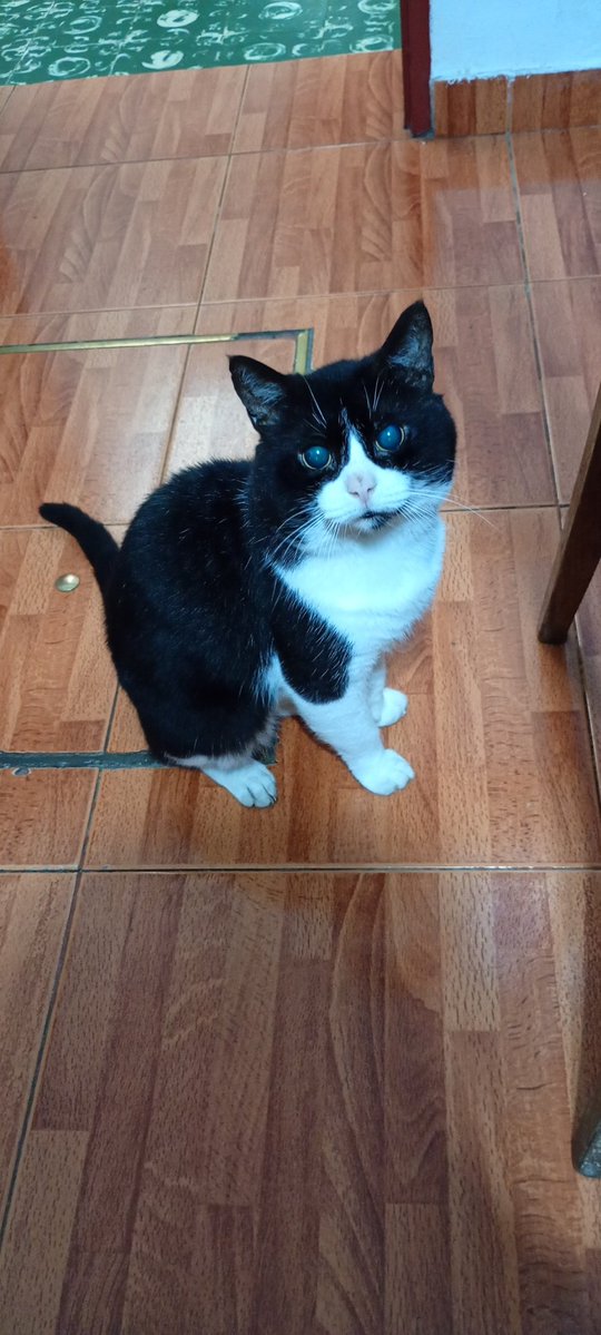 Lour 🇦🇷🏎️ tweet media