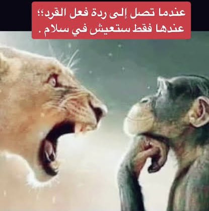 عبدالله tweet media