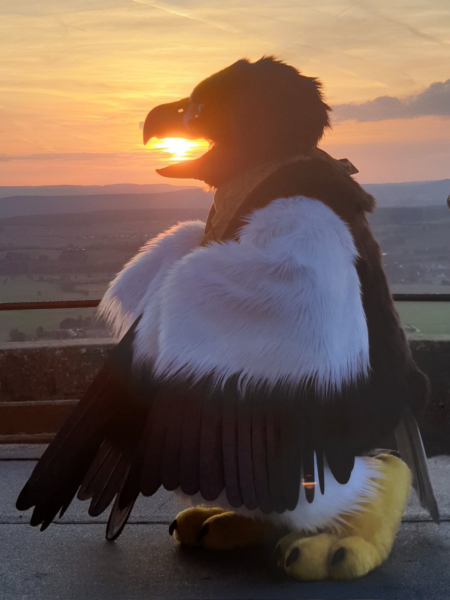 Whitewing Creations tweet media