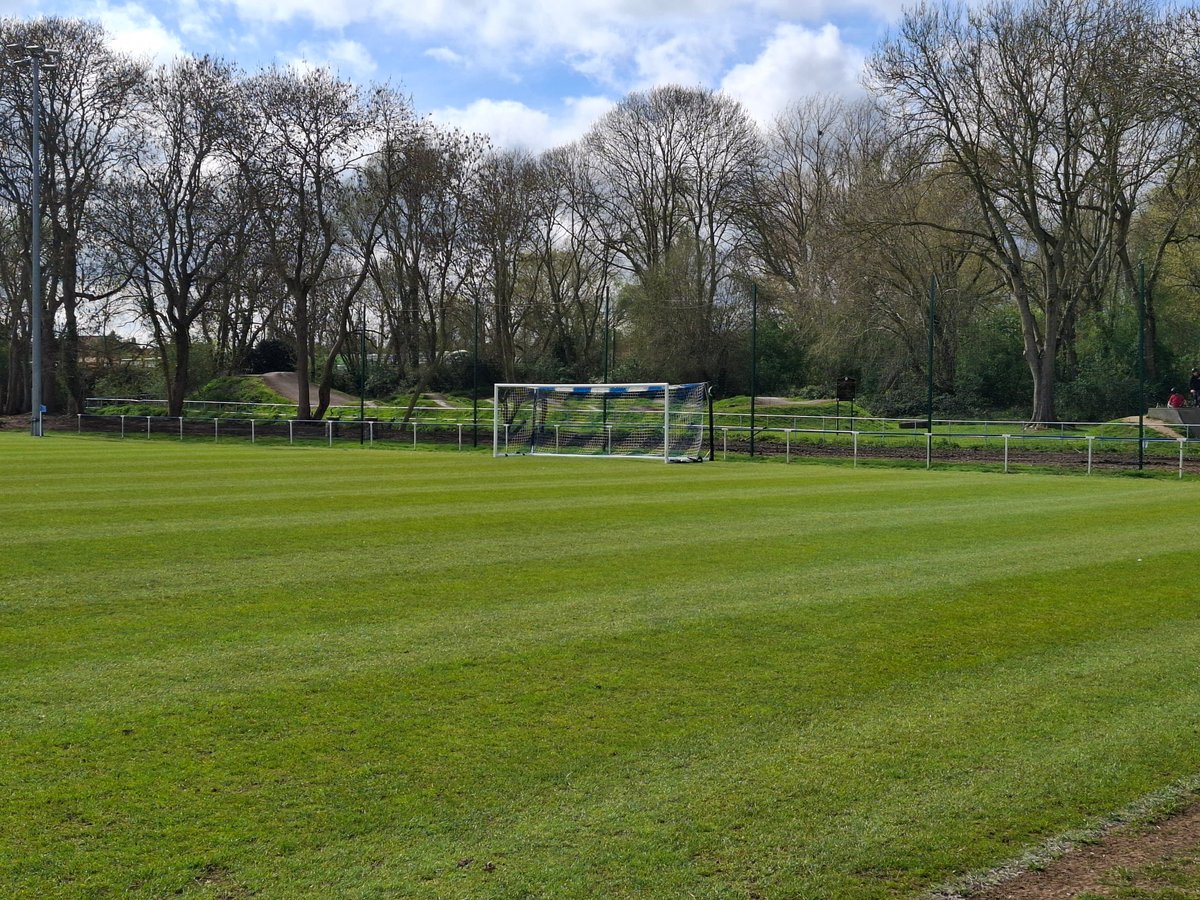 Daniel Tortoise tweet media