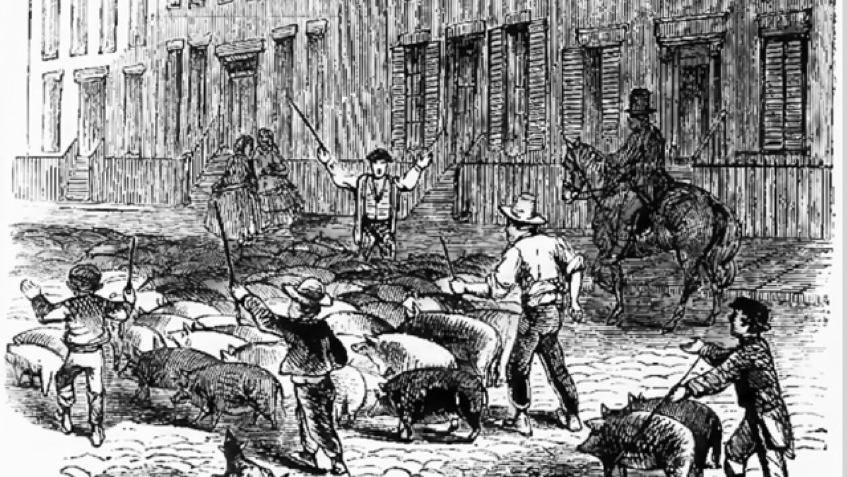 Cincinnati was called Porkopolis.

Not as an insult. As a boast. In the 1840s, Cincinnati was the largest pork processing centre in the world. More pigs were slaughtered and processed in Cincinnati than anywhere else on earth. The infrastructure built around this industry: the