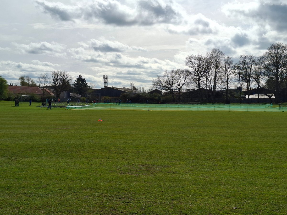 Daniel Tortoise tweet media