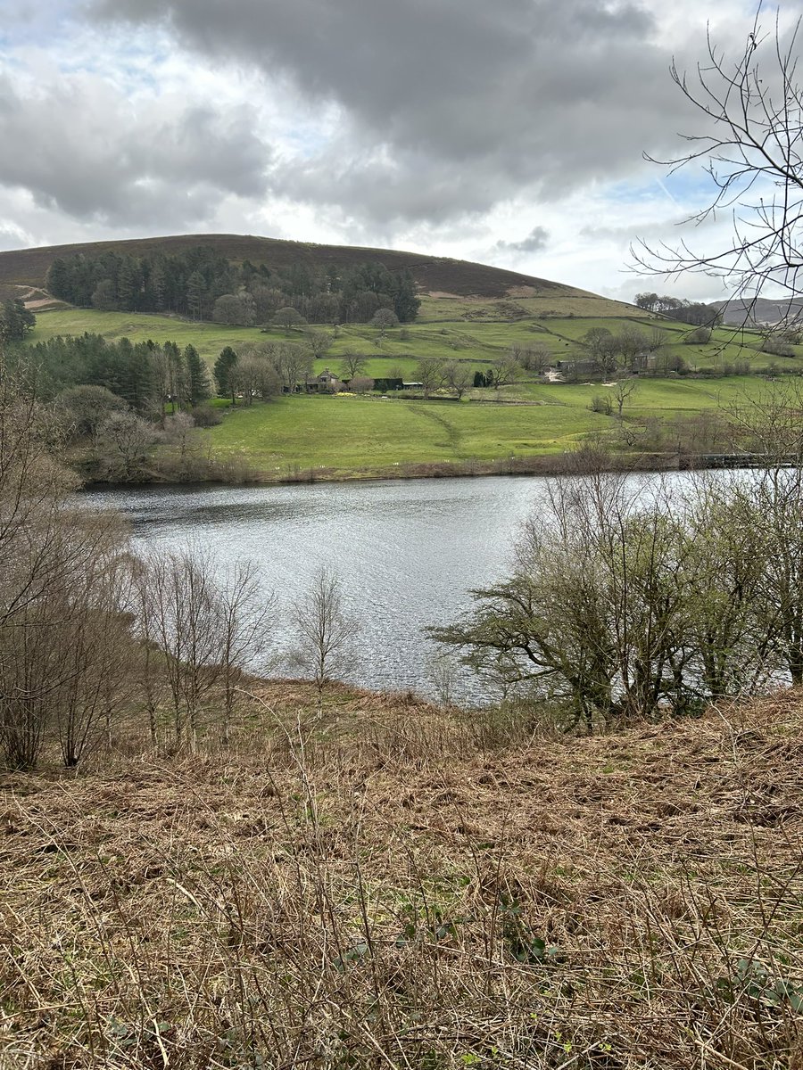 🤦🏽♂️ tweet media