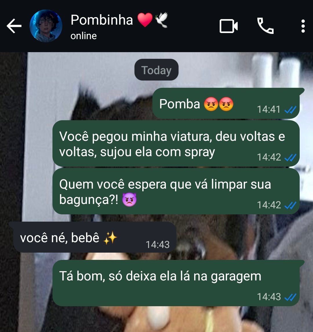 𝐴𝑐𝑒𝑟𝑣𝑜 𝑃𝑜𝑚𝑏𝑖𝑎𝑟 tweet media