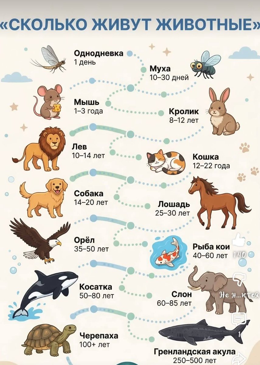 John Kaiff® tweet media