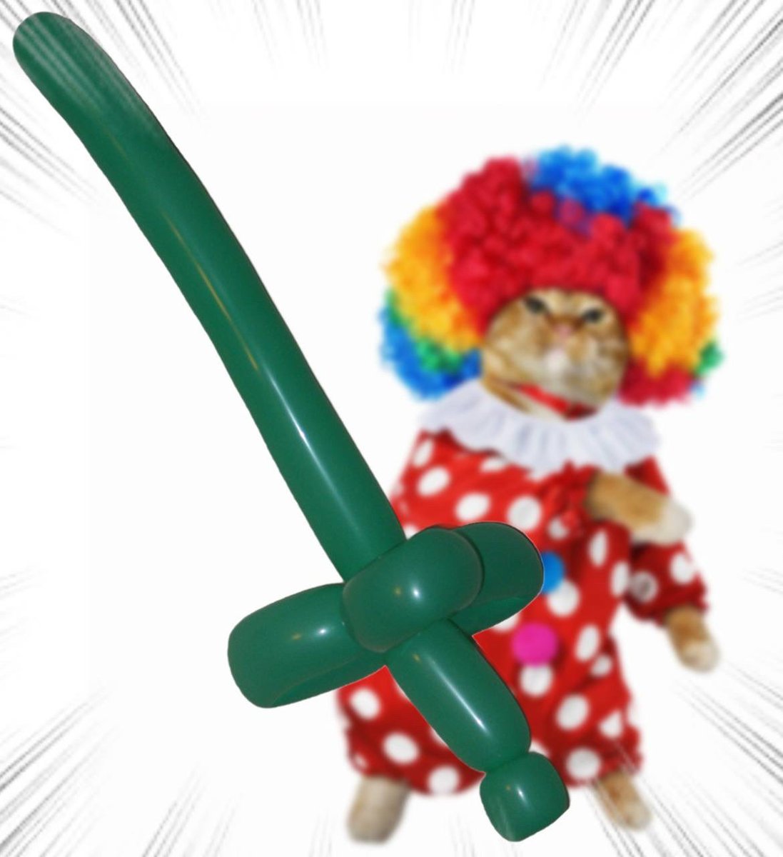 Throwing Things Daily tweet media